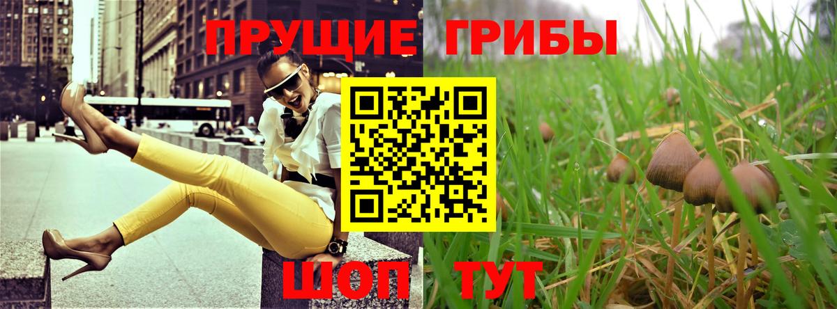 Чебаркуль  Псилоцибиновые грибы Cubensis  Вход с VPN  наркотики  Псилоцибиновые грибы Cubensis 