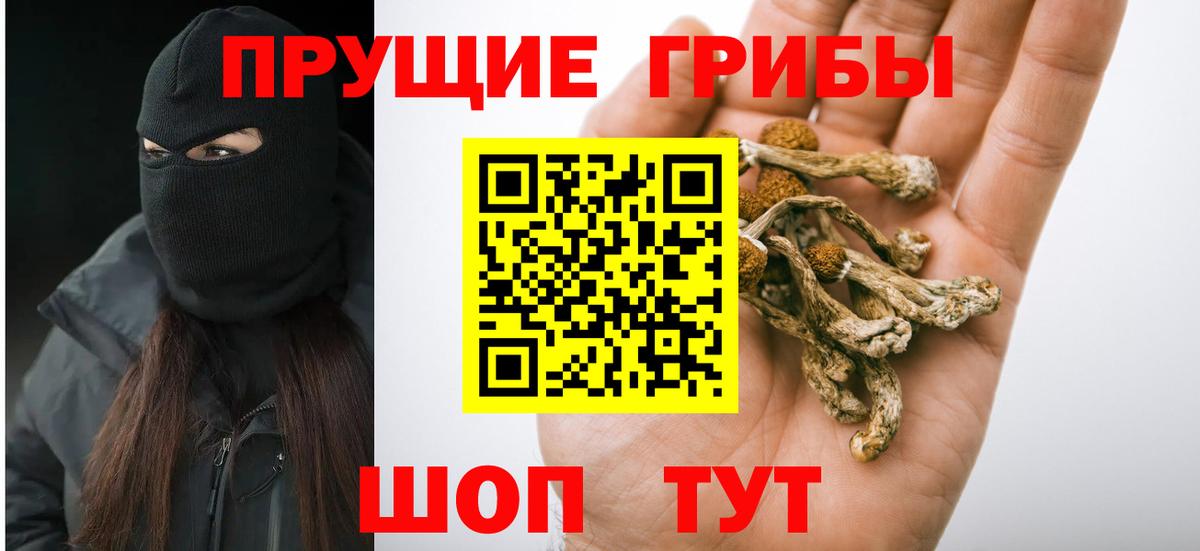 Галлюциногенные грибы GOLDEN TEACHER Чебаркуль