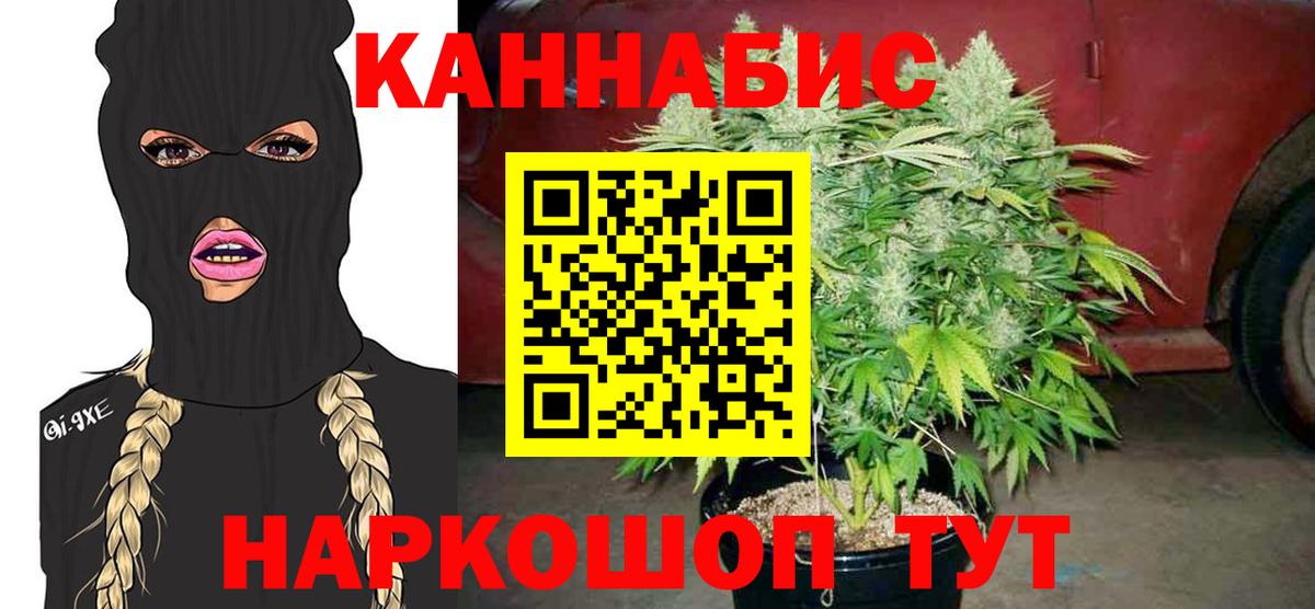 Бошки Шишки Bruce Banner  Канабис Bruce Banner  Чебаркуль  Вход с VPN  Бошки Шишки Ganja 